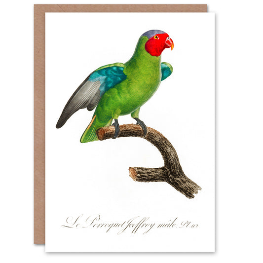 Francois Levaillant Art Card The Red Cheeked Parrot