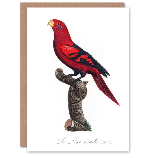 Francois Levaillant Art Card The Violet Necked Lory Parrot