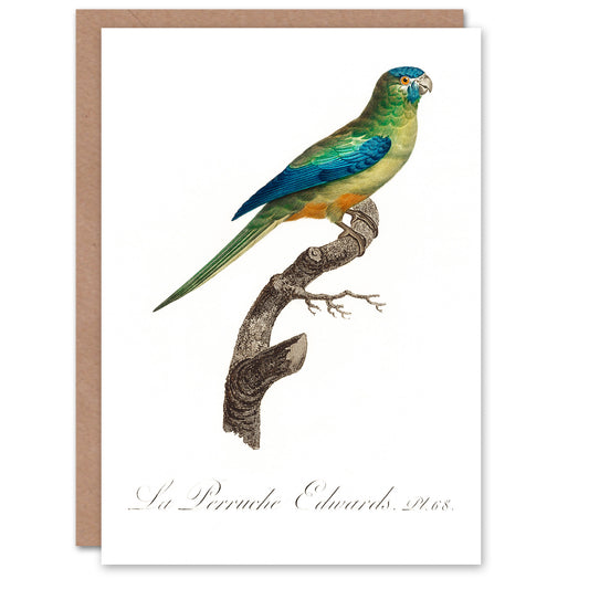 Francois Levaillant Art Card Turquoise Ground Parakeet