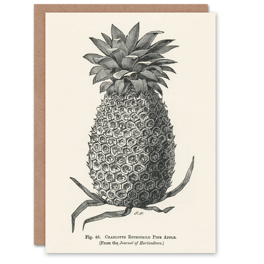 John Wright Art Card Vintage Black White Pineapple Illustration