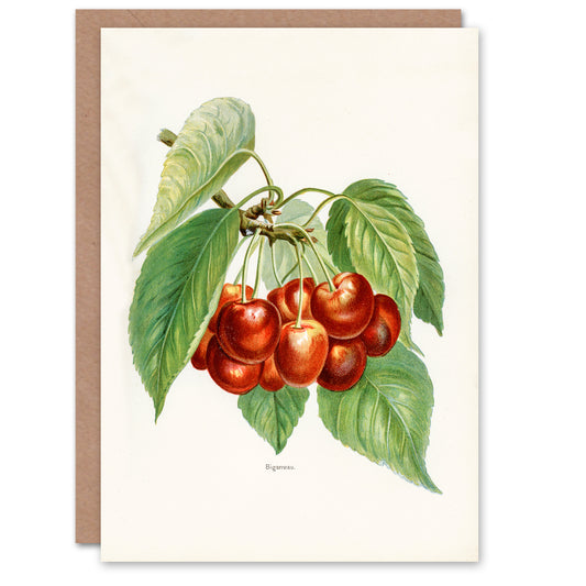 John Wright Art Card Vintage Illustration of Bigarreau Cherries