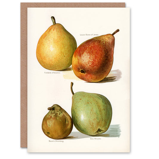 John Wright Art Card Four Pear Varieties Vintage Illustration