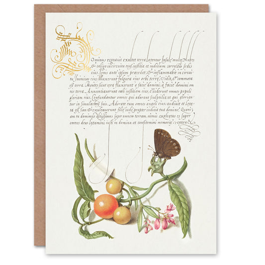 Model Book of Calligraphy Art Card Butterfly Cherries and Milkwort