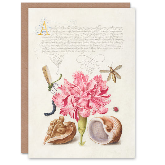 Model Book of Calligraphy Art Card Carnation Walnut and Mollusk