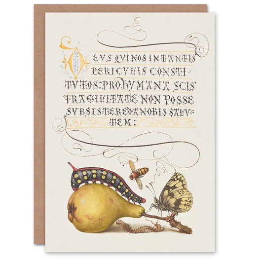 Model Book of Calligraphy Art Card Caterpillar Pear and Butterfly