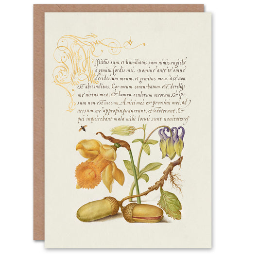 Model Book of Calligraphy Art Card Daffodil Flower and Oak Acorns
