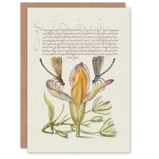Model Book of Calligraphy Art Card Damselflies on Spanish Iris