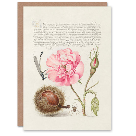 Model Book of Calligraphy Art Card Damselfly Rose Chestnut Spider
