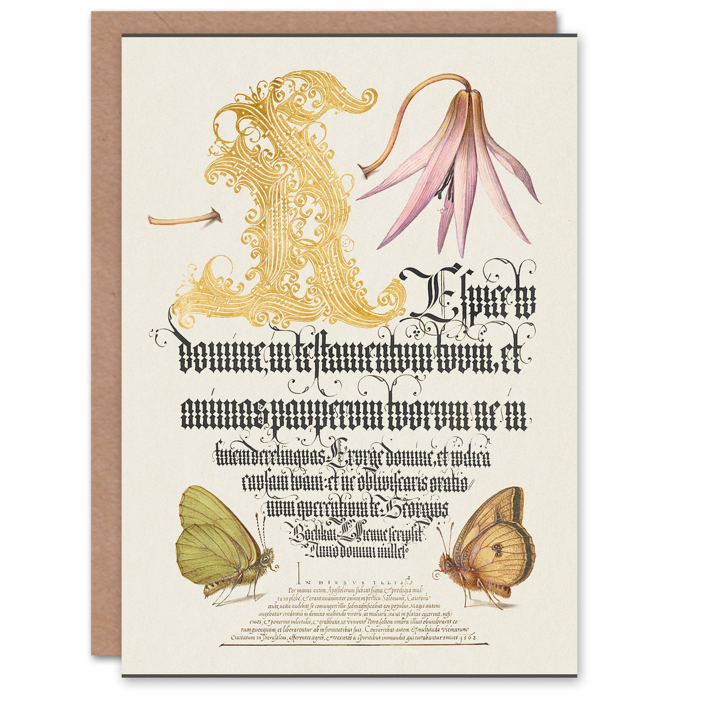 Model Book of Calligraphy Art Card Dog Tooth Violet and Butterflies
