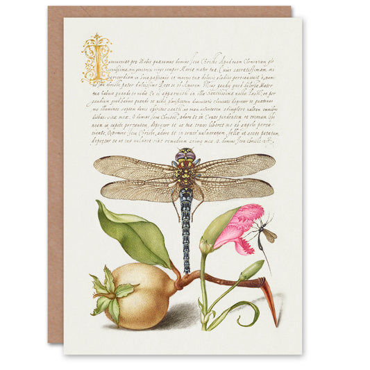 Model Book of Calligraphy Art Card Dragonfly Pear and Carnation
