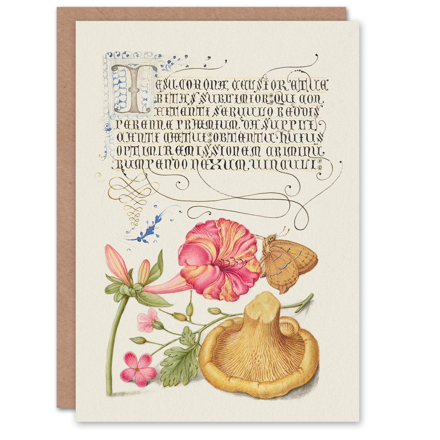 Model Book of Calligraphy Art Card Flowers Mushroom and Butterfly