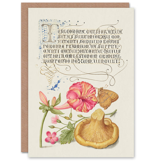 Model Book of Calligraphy Art Card Flowers Mushroom and Butterfly