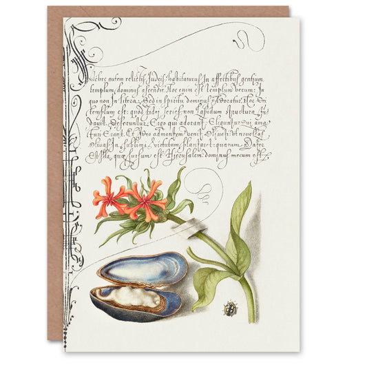 Model Book of Calligraphy Art Card Flower Mussel and Ladybird