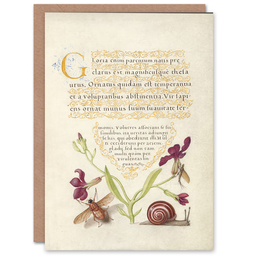 Model Book of Calligraphy Art Card Gillyflower Fly Mayfly and Snail
