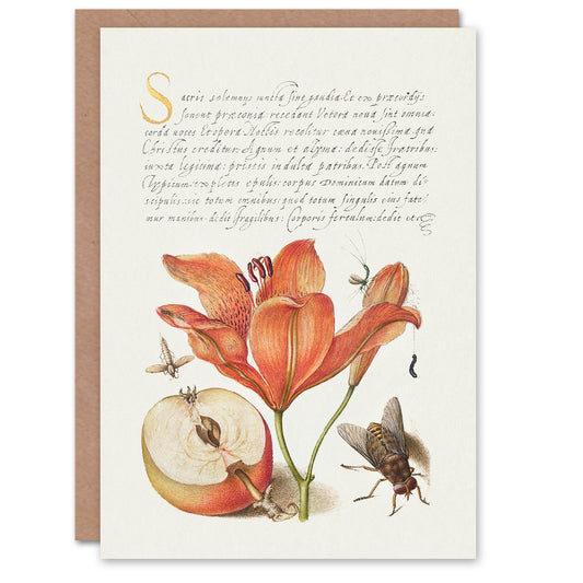 Model Book of Calligraphy Art Card Insects Orange Lily and Apple