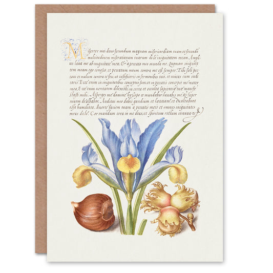 Model Book of Calligraphy Art Card Iris Flower and Hazelnut