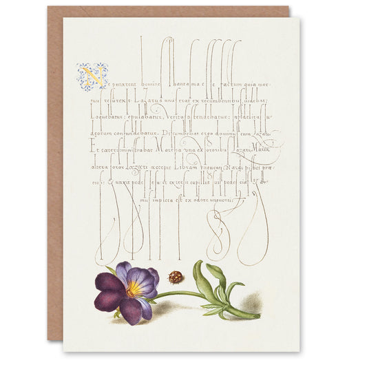 Model Book of Calligraphy Art Card Ladybird and Wild Pansy