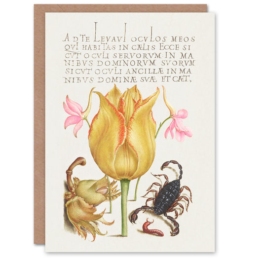 Model Book of Calligraphy Art Card Larkspurs Tulip and Scorpion