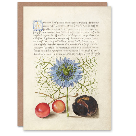 Model Book of Calligraphy Art Card Love in a Mist and Cherries