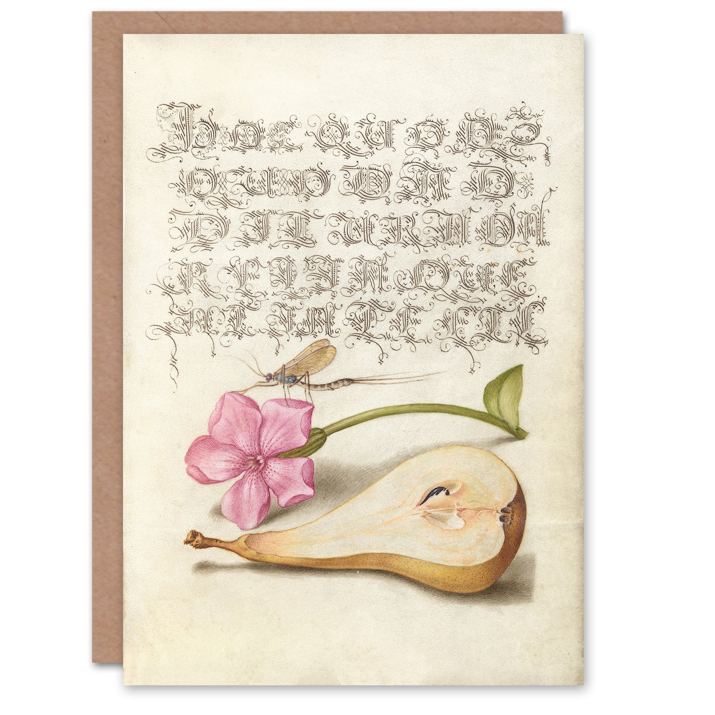 Model Book of Calligraphy Art Card Mayfly Red Campion and Pear