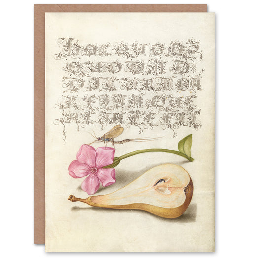 Model Book of Calligraphy Art Card Mayfly Red Campion and Pear