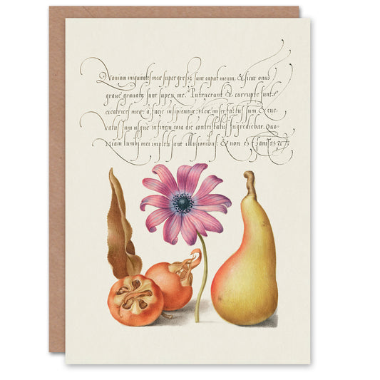 Model Book of Calligraphy Art Card Medlar Poppy Anemone and Pear