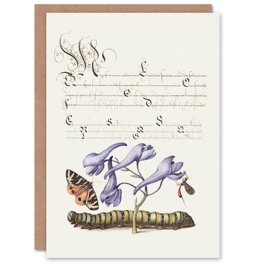 Model Book of Calligraphy Art Card Butterfly Caterpillar and Flower