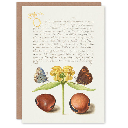 Model Book of Calligraphy Art Card Moths Jerusalem Sage and Beans