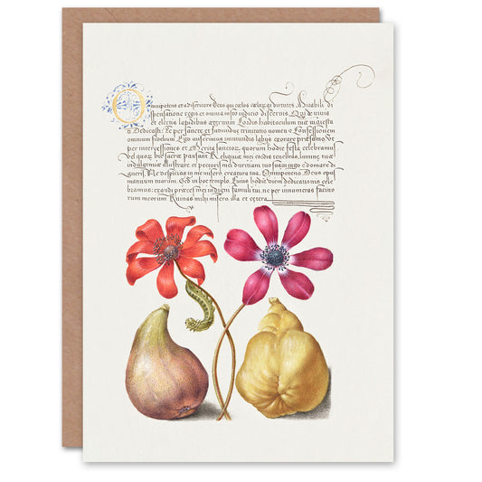 Model Book of Calligraphy Art Card Poppy Anemone Fig and Quince
