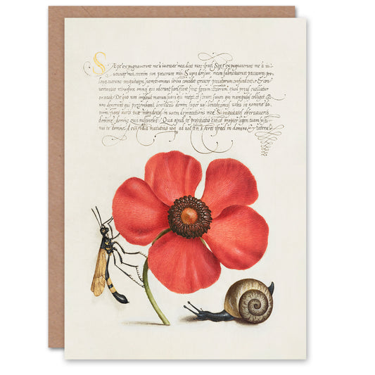 Model Book of Calligraphy Art Card Poppy Snail and Crane Fly