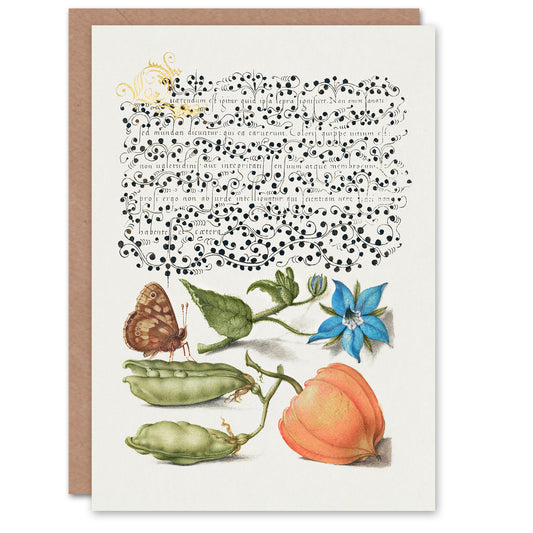 Model Book of Calligraphy Art Card Talewort Pea and Lantern Plant