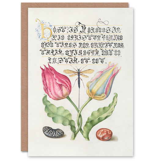 Model Book of Calligraphy Art Card Tulip Ichneumon Wasp and Beans
