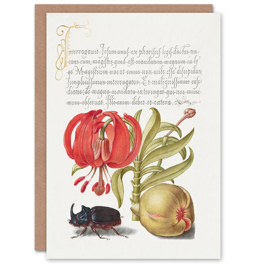 Model Book of Calligraphy Art Card Turks Cap Lily Fig and Beetle