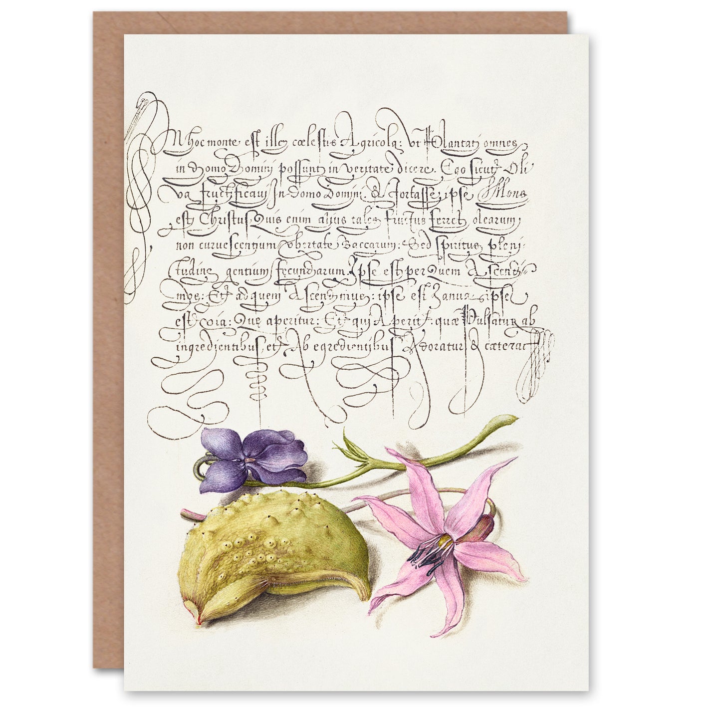 Model Book of Calligraphy Art Card Violet Blooms and Gourd