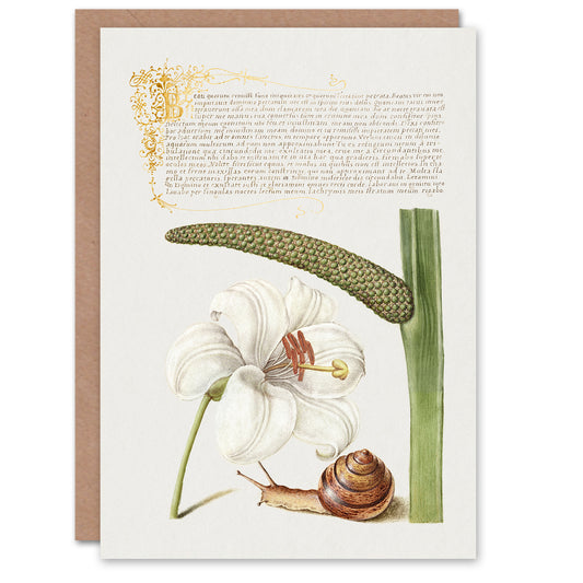 Model Book of Calligraphy Art Card White Lily Snail and Sweet Flag
