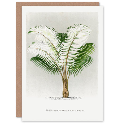 Oswald de Kerchove Art Card Ceroxylon Anticola Palm Tree