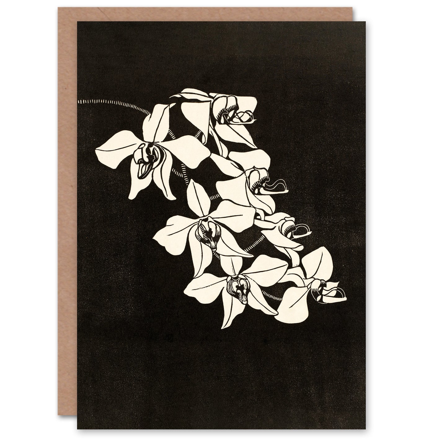 Samuel J De Mesquita Art Card Black and White Orchid Flower