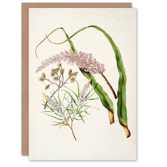 Sarah Featon Art Card Neinei Totorowhiti Turpentine Scrub Flowers