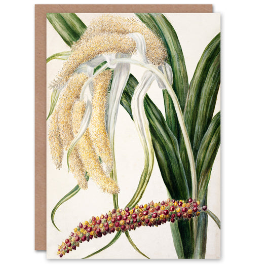Sarah Featon Art Card New Zealand Perching Lily Flower Plant