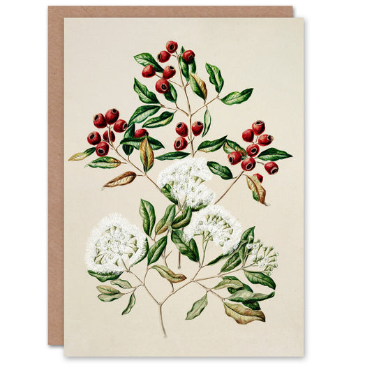 Sarah Featon Art Card New Zealand Maire Tawake Tree Flowers