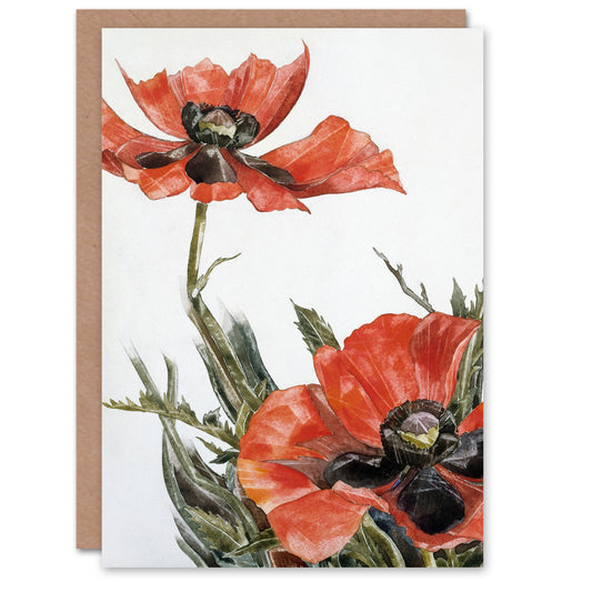 Charles Demuth Art Card Red Poppies Floral Painting