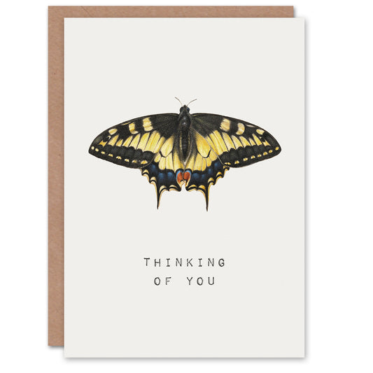 Hoefnagel Sympathy Card Yellow Swallowtail Butterfly Thinking Of You