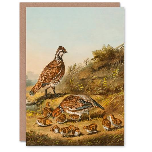 Nathaniel Currier Art Card Quail Birds The Cares of a Family