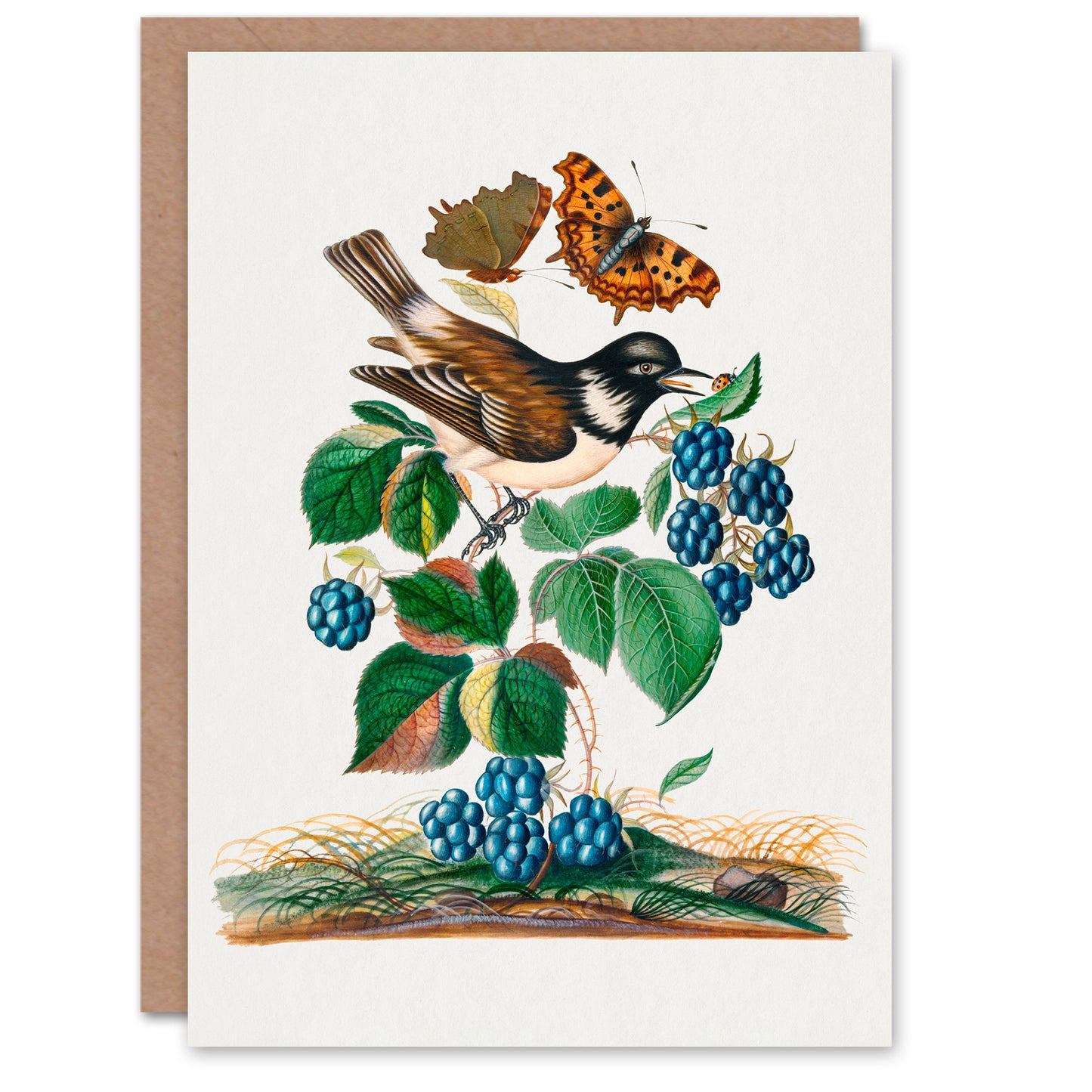 James Bolton Art Card Bramble Rubus Starling and Butterflies