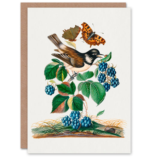 James Bolton Art Card Bramble Rubus Starling and Butterflies