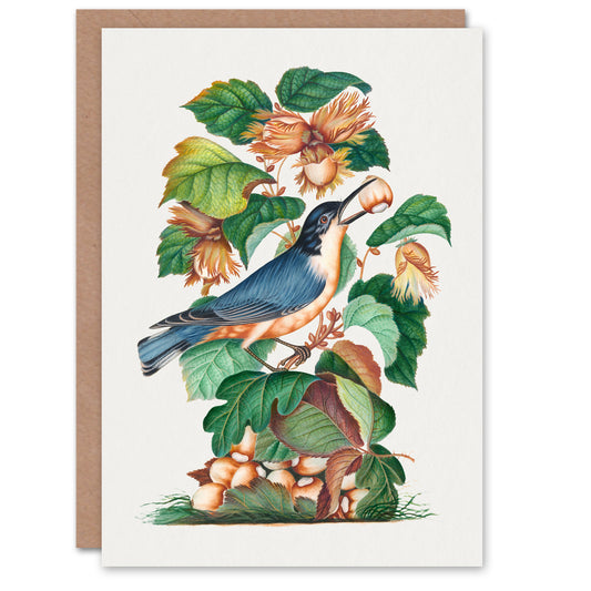 James Bolton Art Card Nuthatch Bird Hazel Oak and Bramble