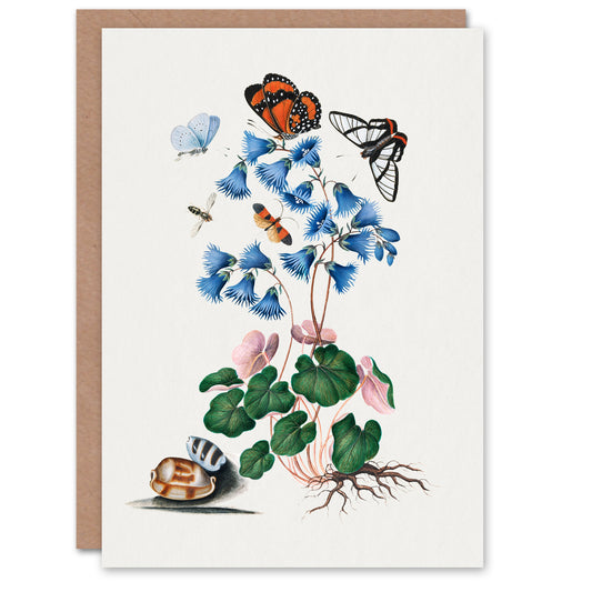 James Bolton Art Card Soldanella Flower and Butterflies