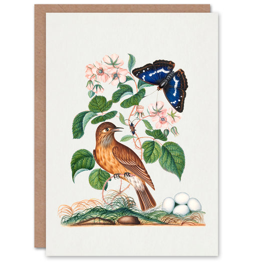 James Bolton Art Card Spotted Flycatcher and Purple Emperor