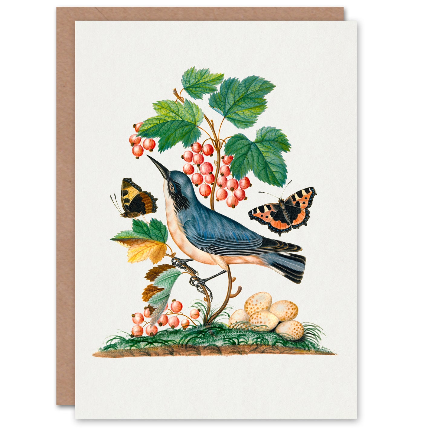 James Bolton Art Card Warbler Bird and Red Admiral Butterfly
