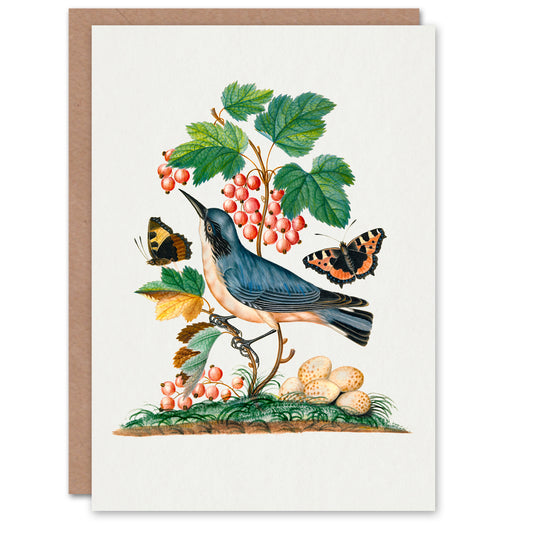James Bolton Art Card Warbler Bird and Red Admiral Butterfly